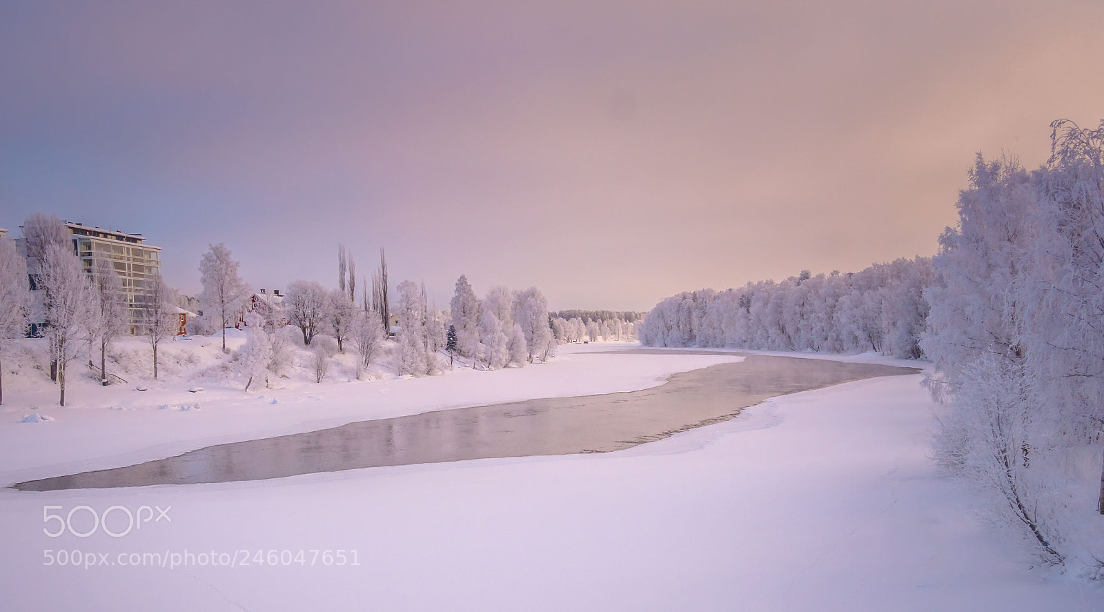 Olympus OM-D E-M1 Mark II sample photo. Frozen river photography