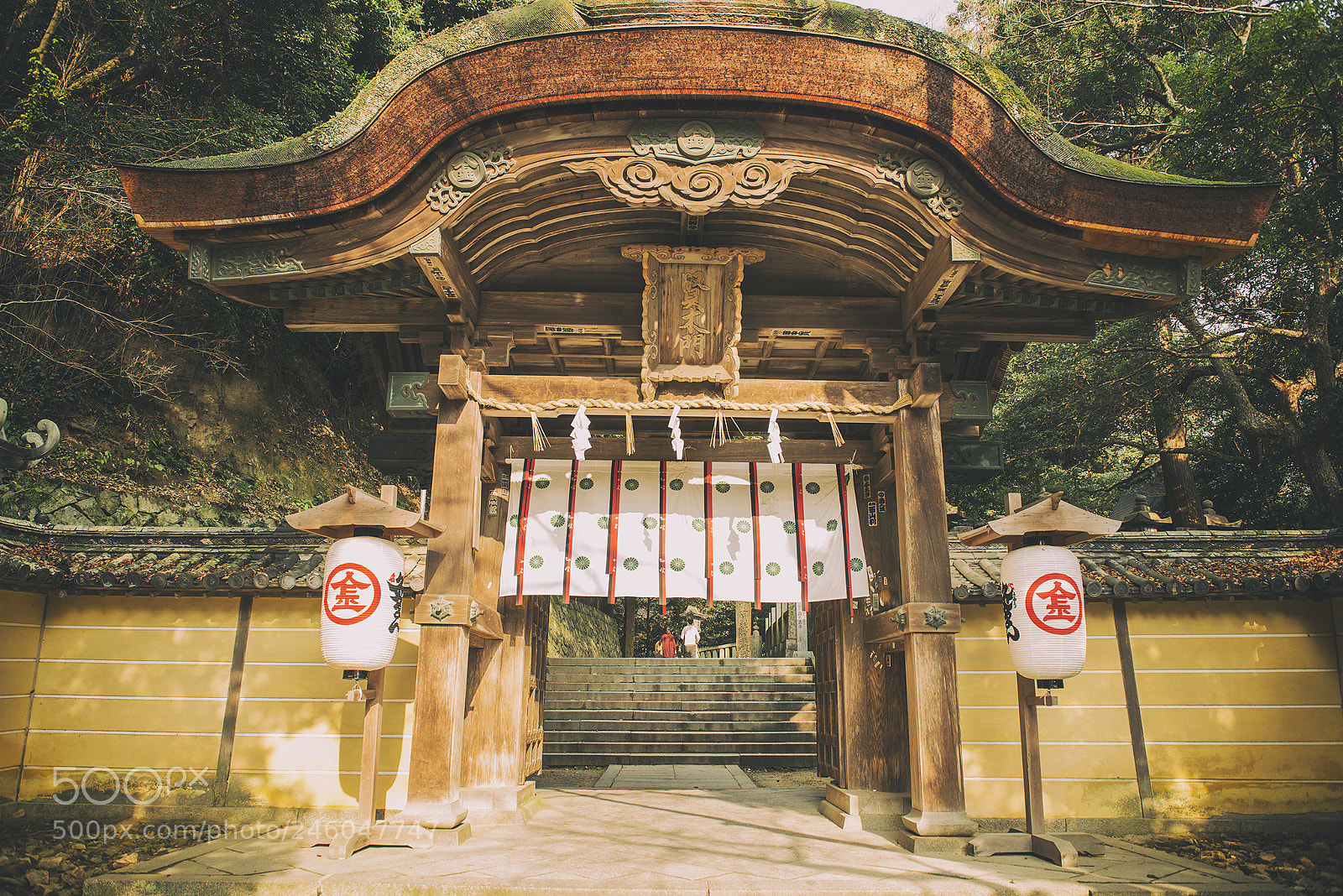 Nikon D800E sample photo. Entrance photography