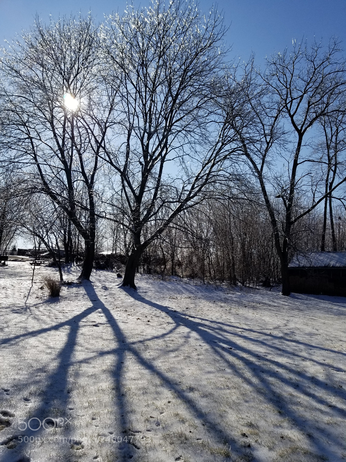 Samsung Galaxy S8 sample photo. Untitled photography