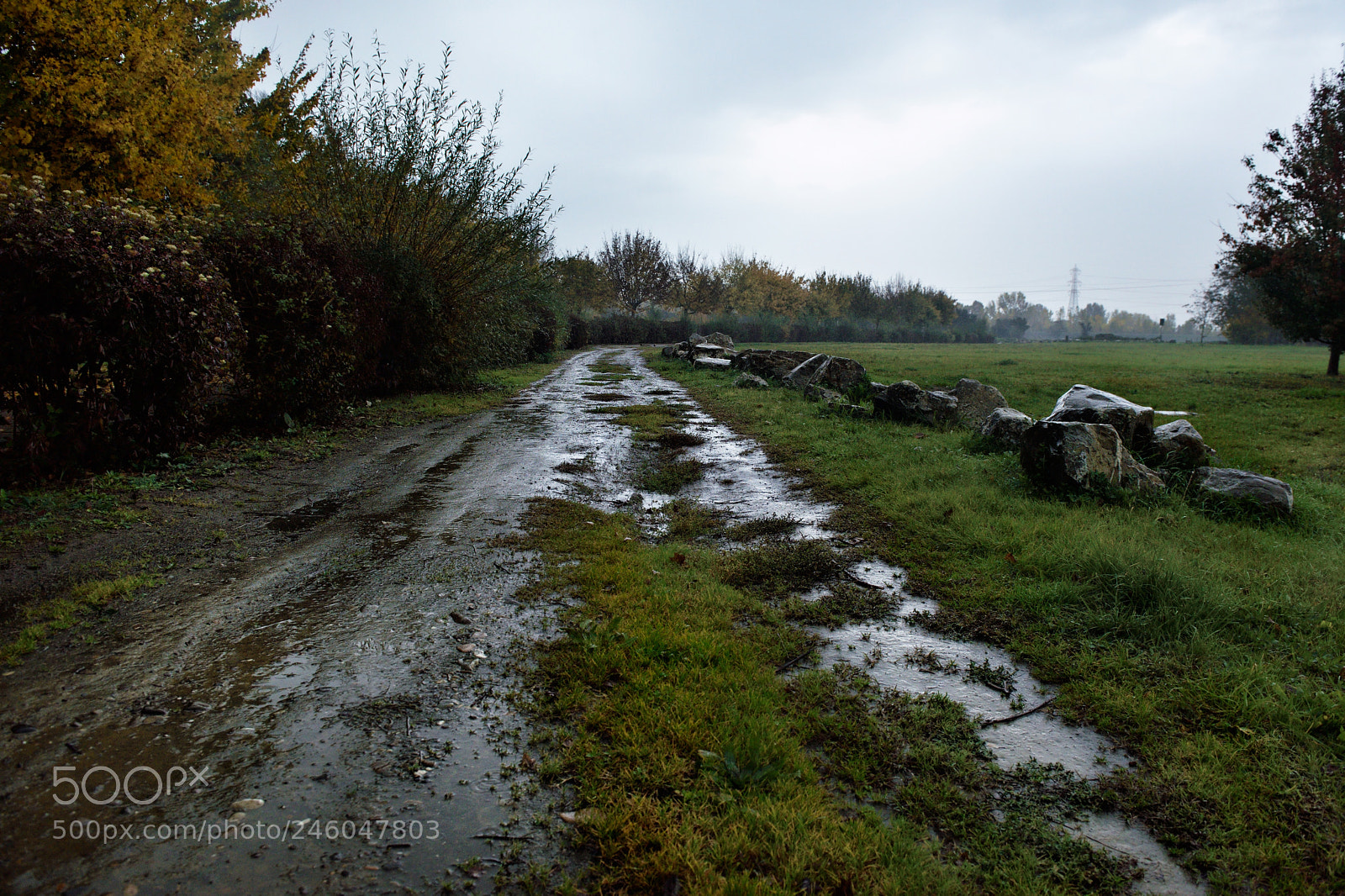 Nikon D810 sample photo. Lovely nature xiv photography