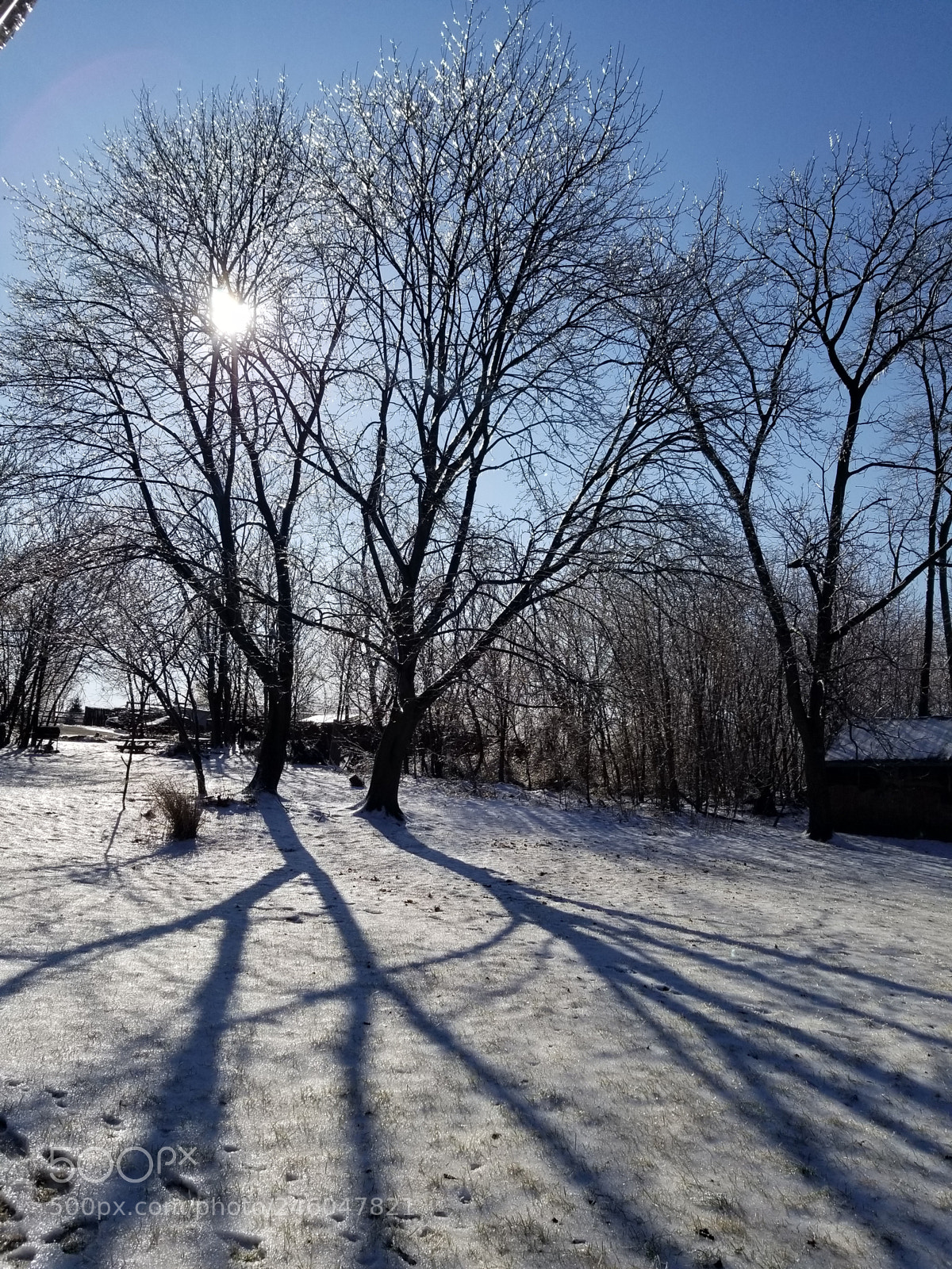 Samsung Galaxy S8 sample photo. Untitled photography