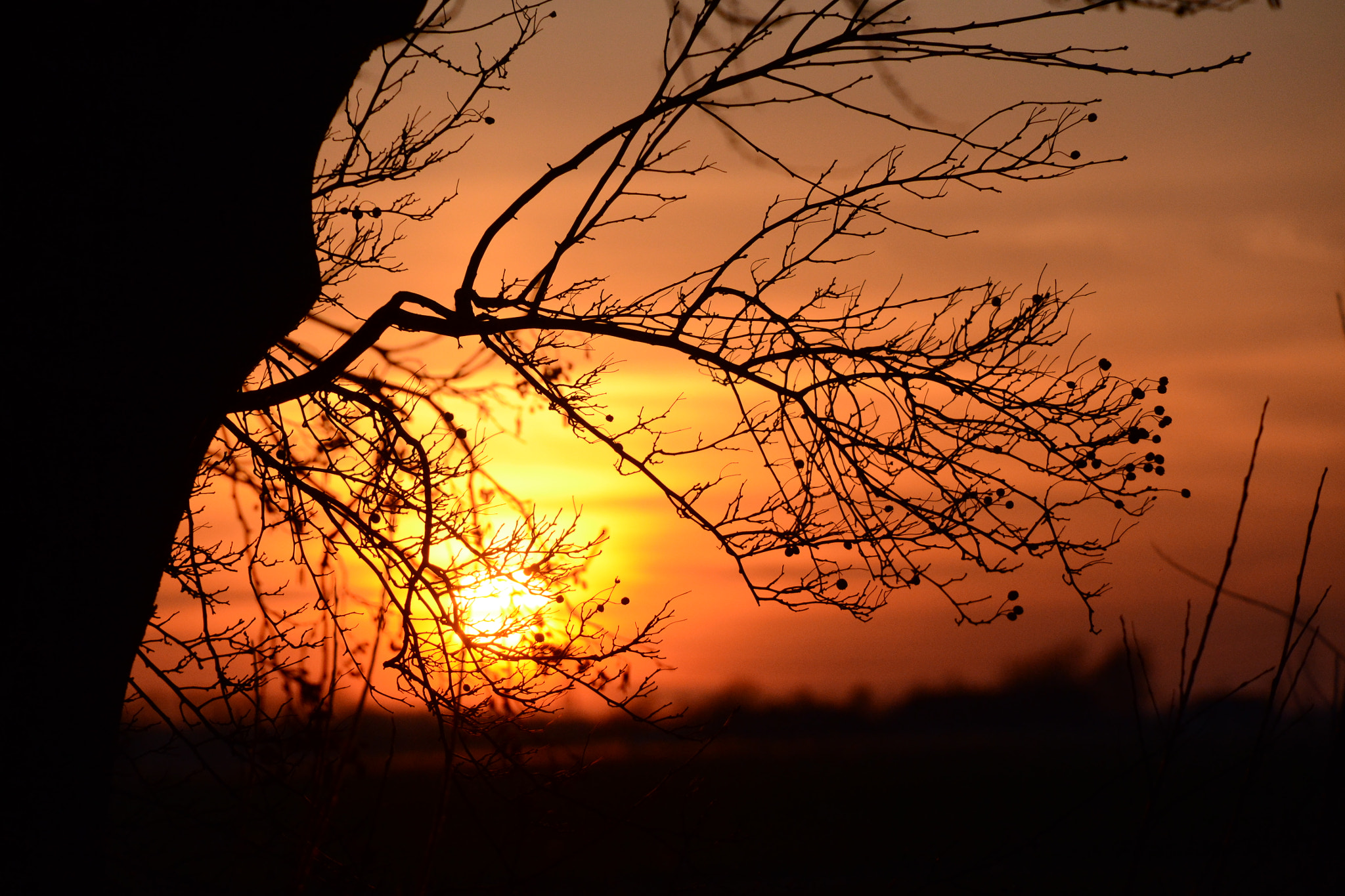 Nikon D3100 sample photo. Sunset photography