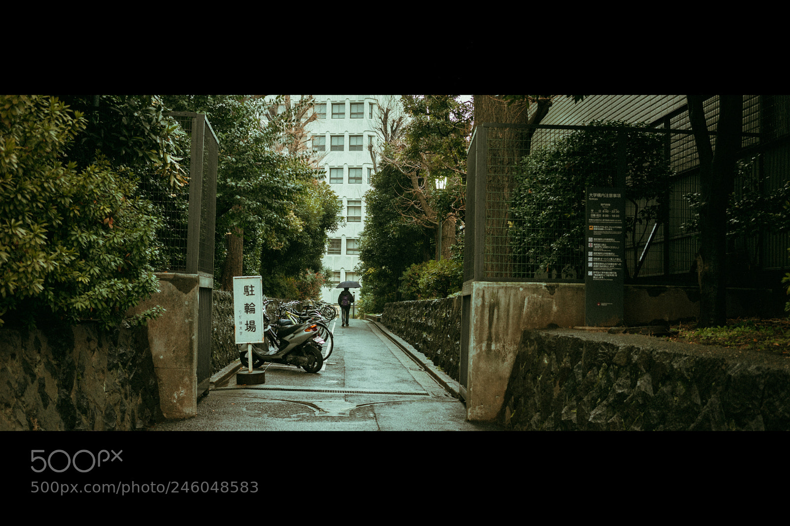 Sony a7 sample photo. Center of attraction photography