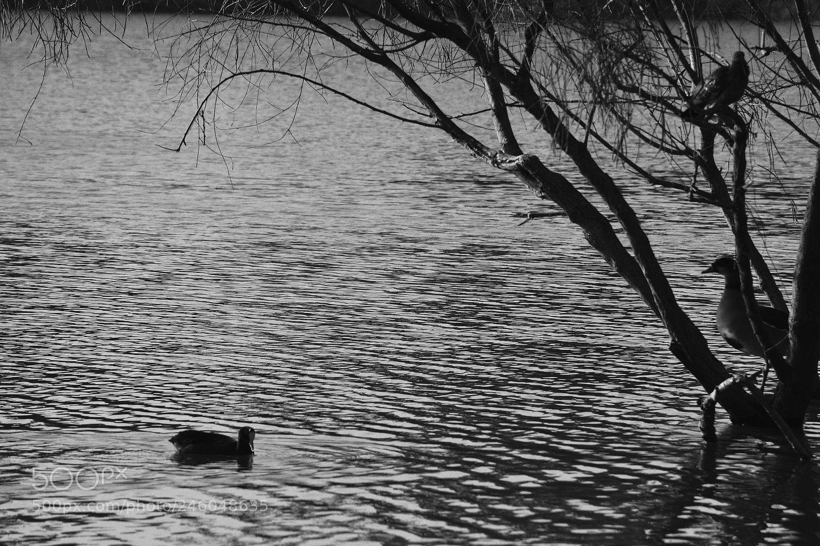 Nikon D7100 sample photo. Two hours later photography