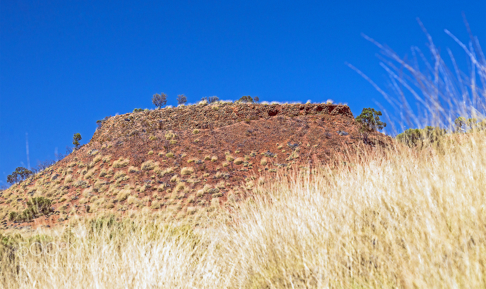 Nikon D610 sample photo. Mesa with a spinifex photography