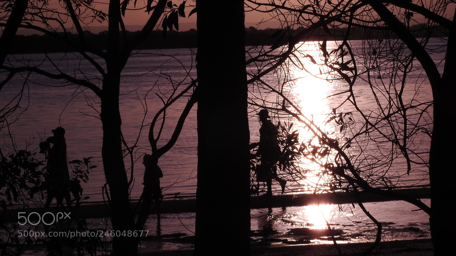 Nikon Coolpix P900 sample photo. Sun setting photography