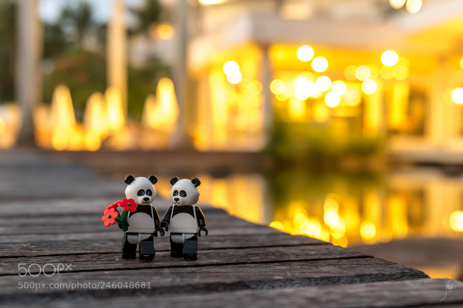 Canon EOS 7D Mark II sample photo. You are my valentine photography
