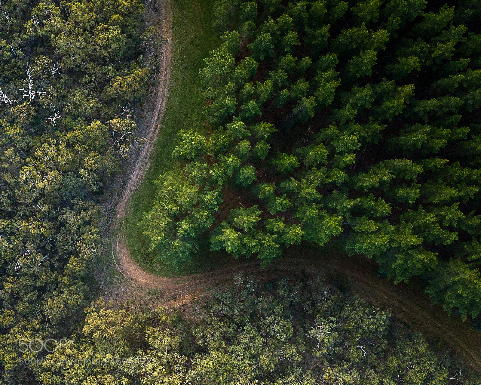 DJI FC220 sample photo. Up, up & away photography