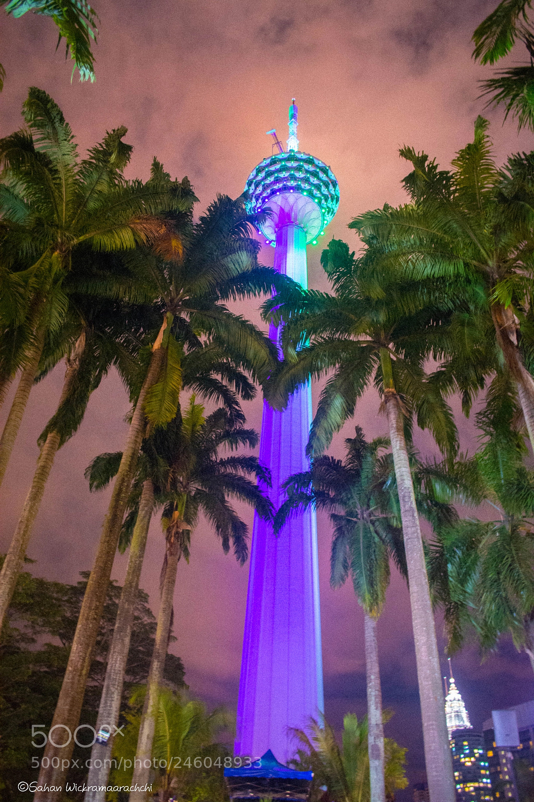 Nikon D5200 sample photo. Rising above photography