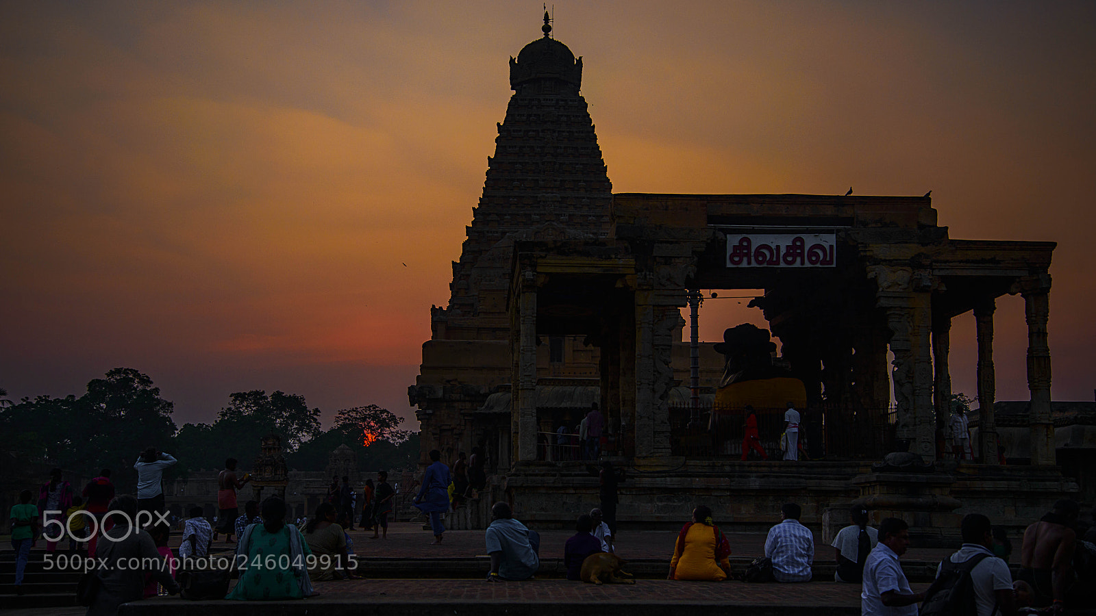 Nikon D800E sample photo. Brihadesshwarar temple, thanjavur photography