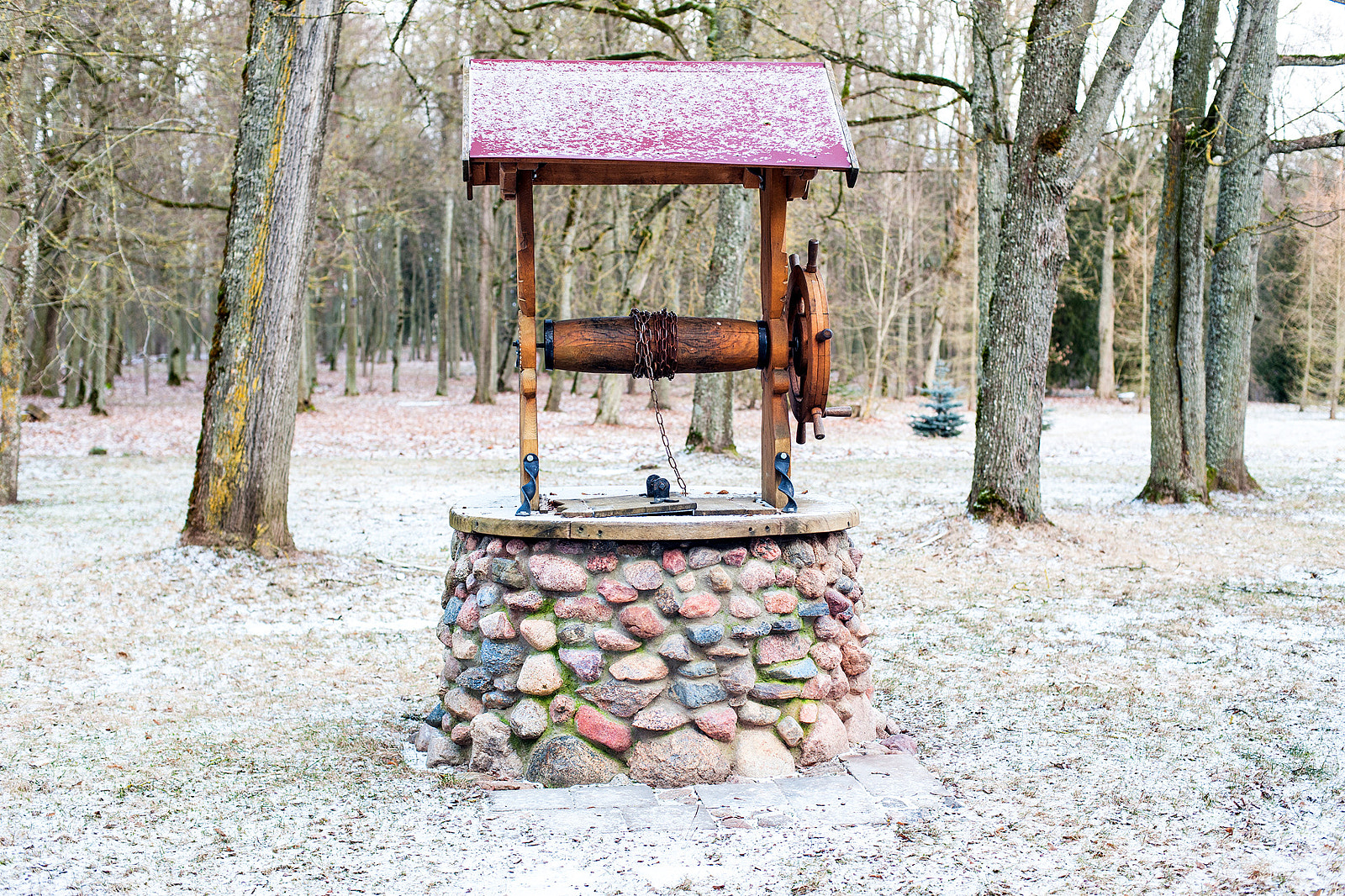 Nikon D3 sample photo. In the park photography