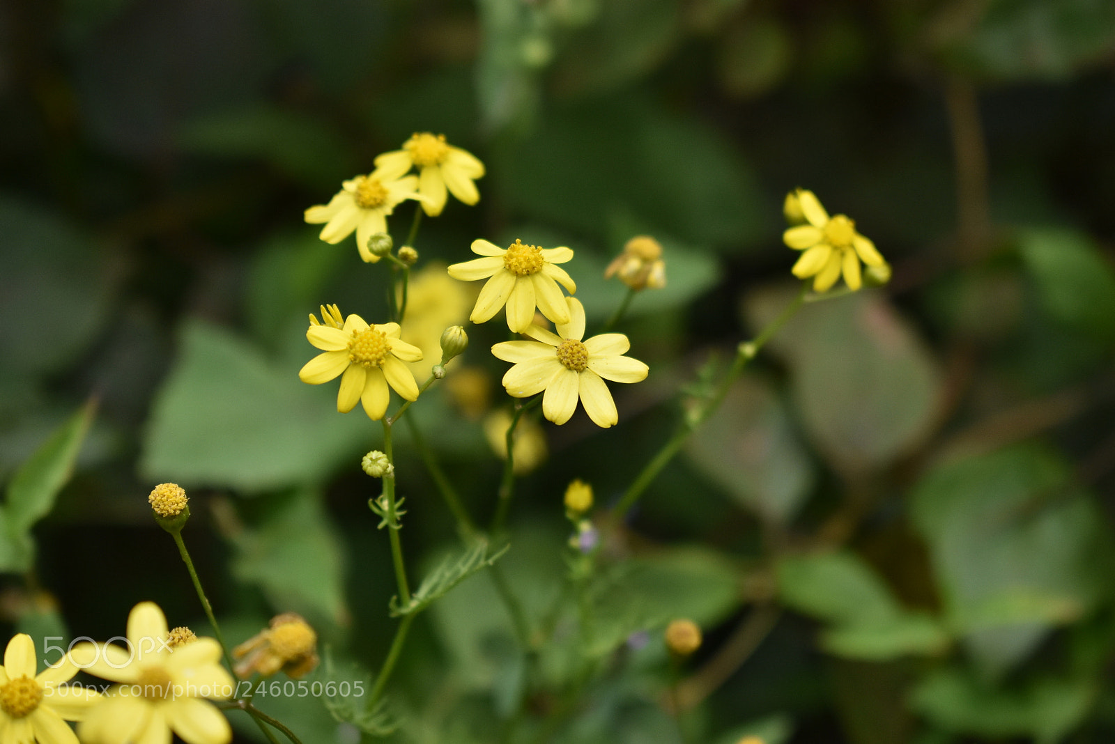 Nikon D3400 sample photo. Untitled photography