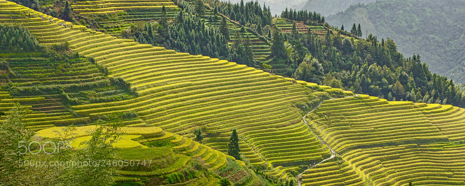 Pentax K-3 sample photo. China - 018 - guilin photography