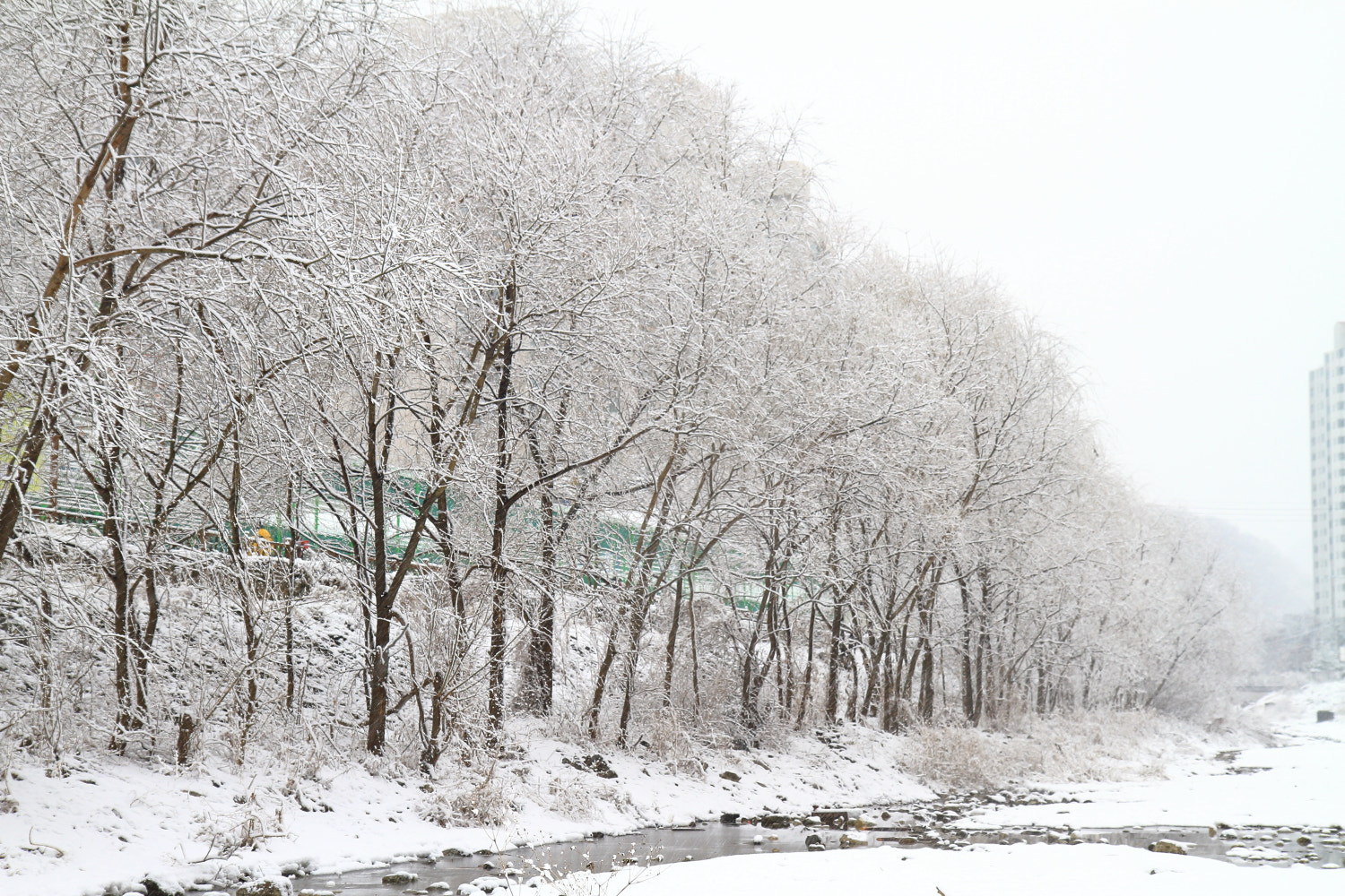 Canon EF-S 17-55mm F2.8 IS USM sample photo. Winter landscape photography