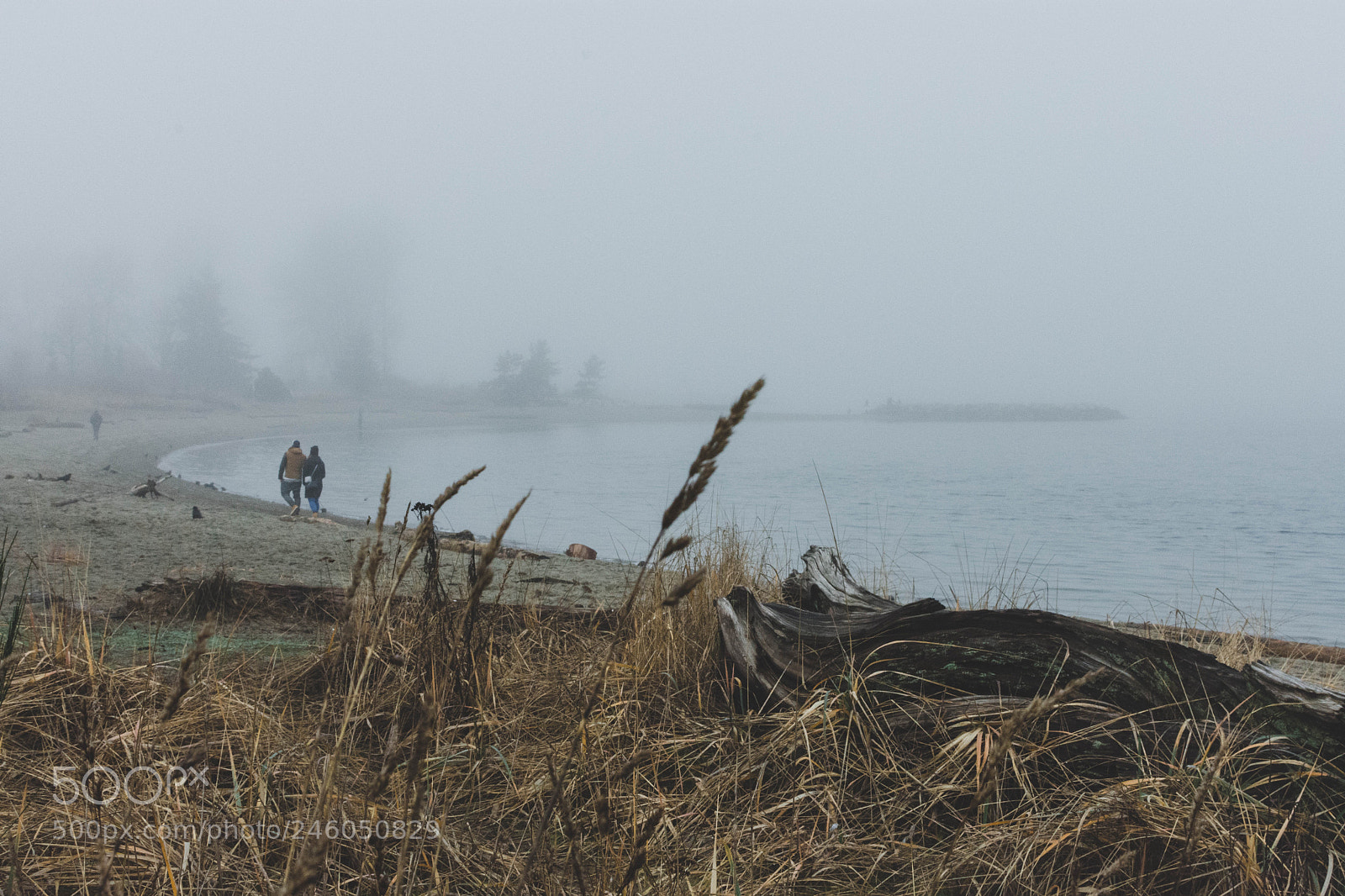 Nikon D7200 sample photo. Together photography