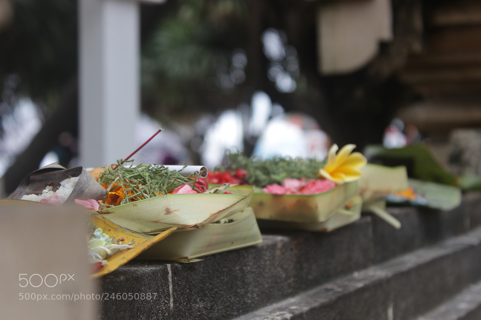 Canon EOS 600D (Rebel EOS T3i / EOS Kiss X5) sample photo. Img photography