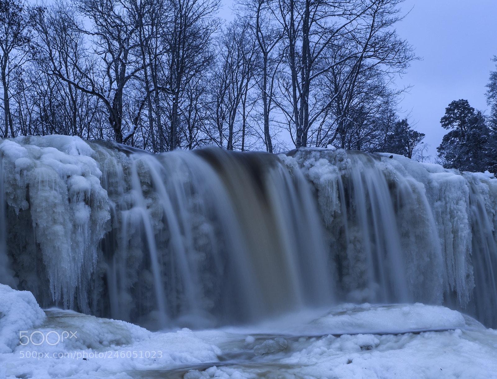 Nikon D850 sample photo. Freeze! photography