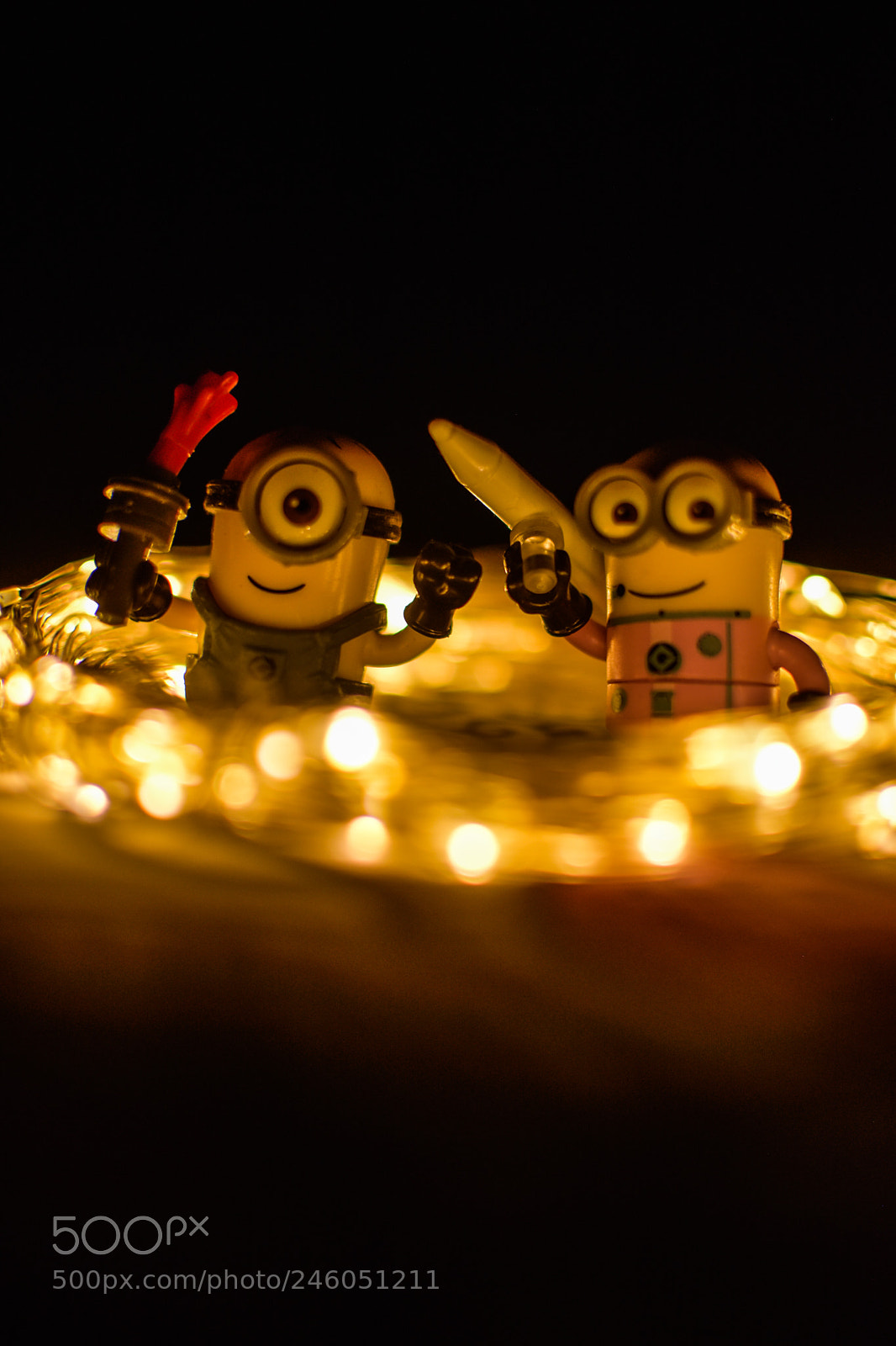 Nikon D5500 sample photo. Minions love photography