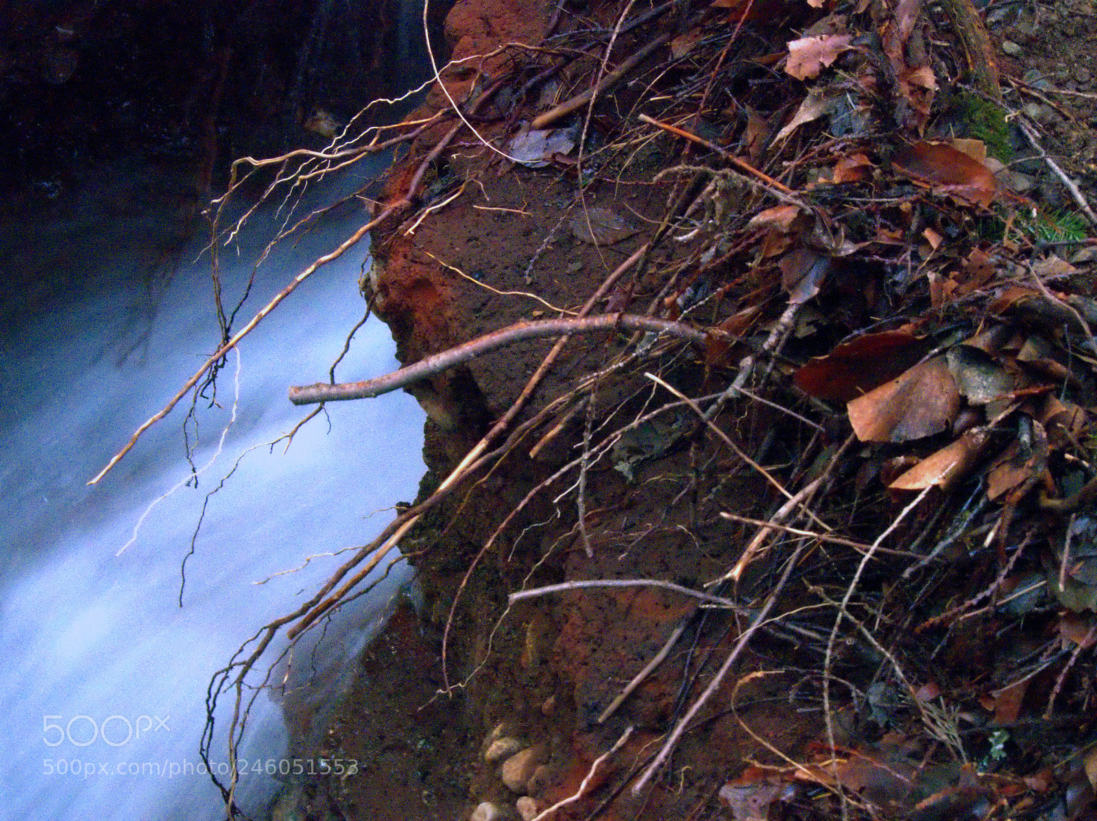 Olympus OM-D E-M5 sample photo. Flow photography