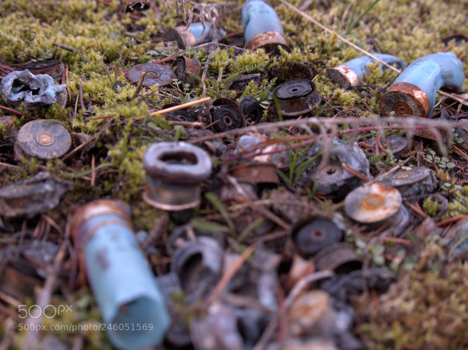 Olympus OM-D E-M5 sample photo. ... photography