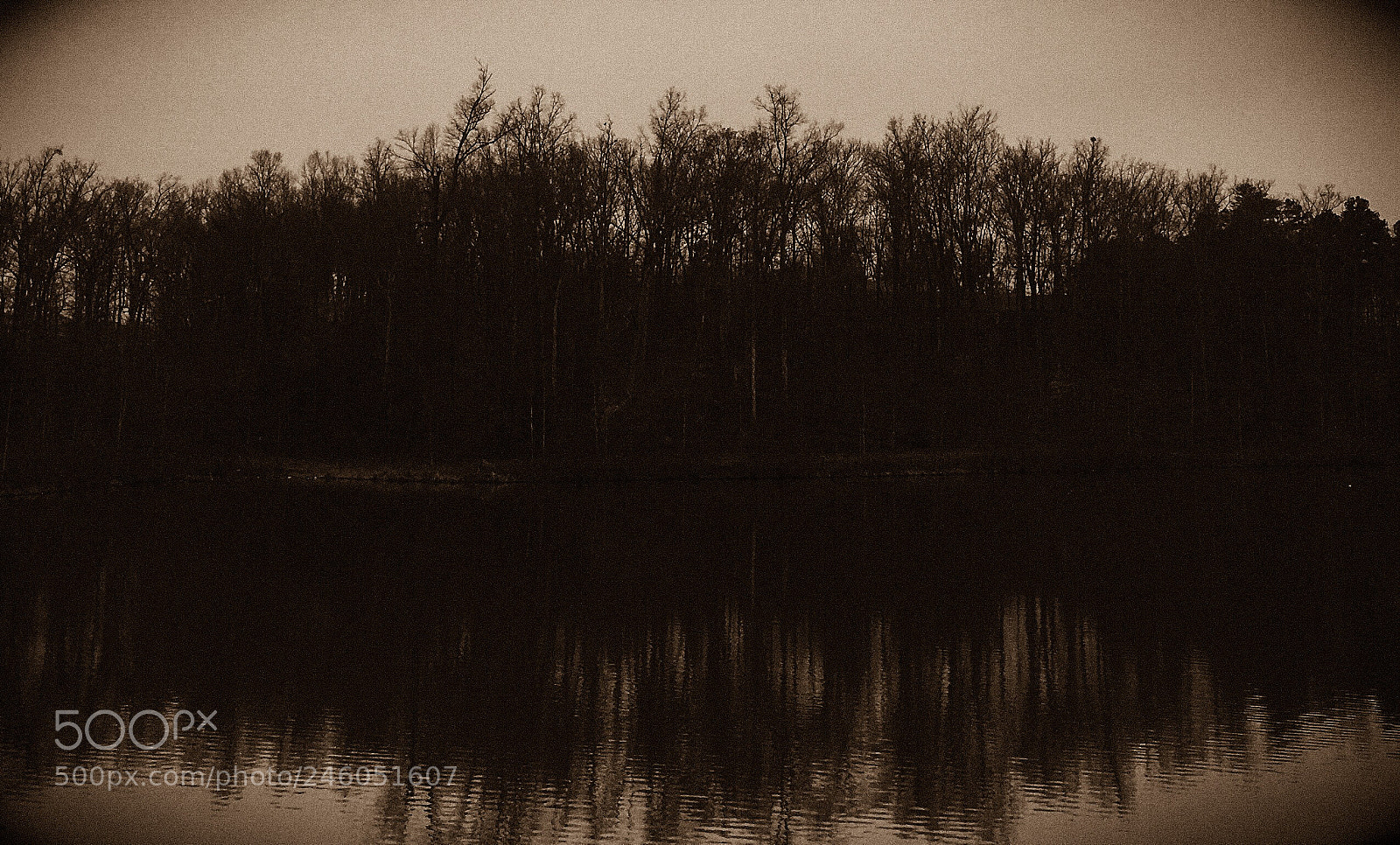 Apple iPhone 6s Plus sample photo. Dusk on the bayou photography