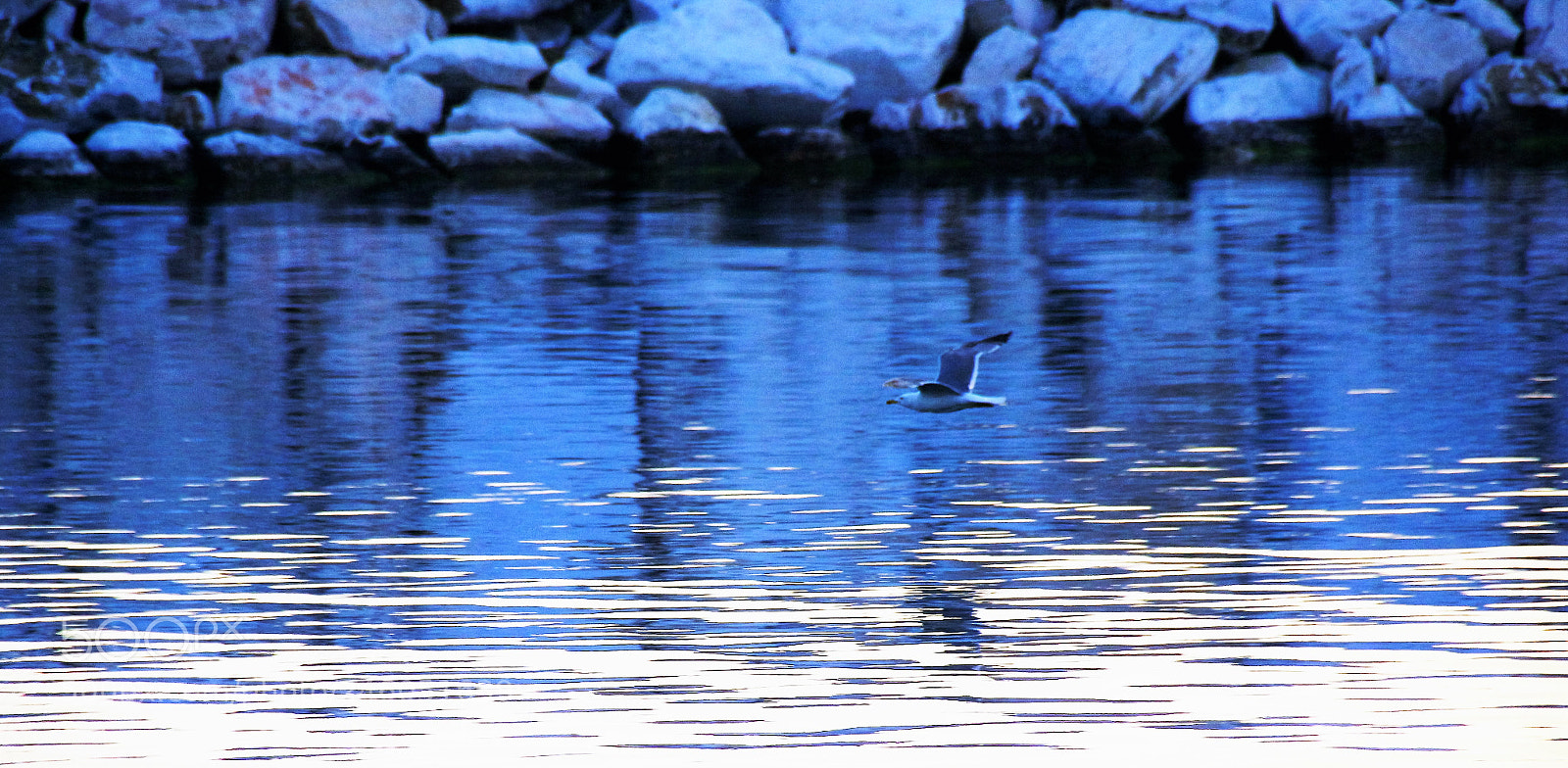 Canon EOS 100D (EOS Rebel SL1 / EOS Kiss X7) sample photo. Blue  waves................ photography