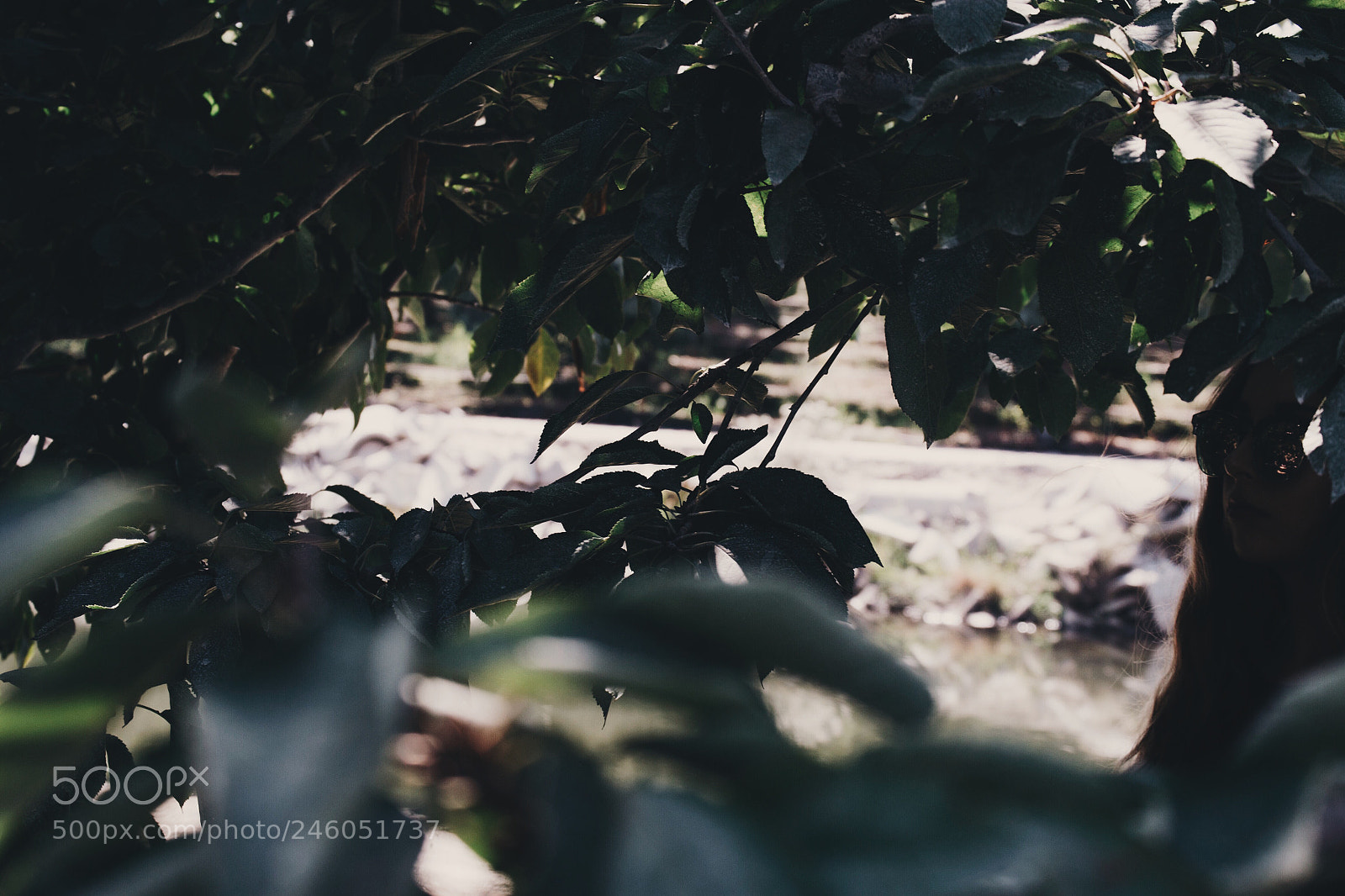 Nikon D3100 sample photo. She hides in the photography