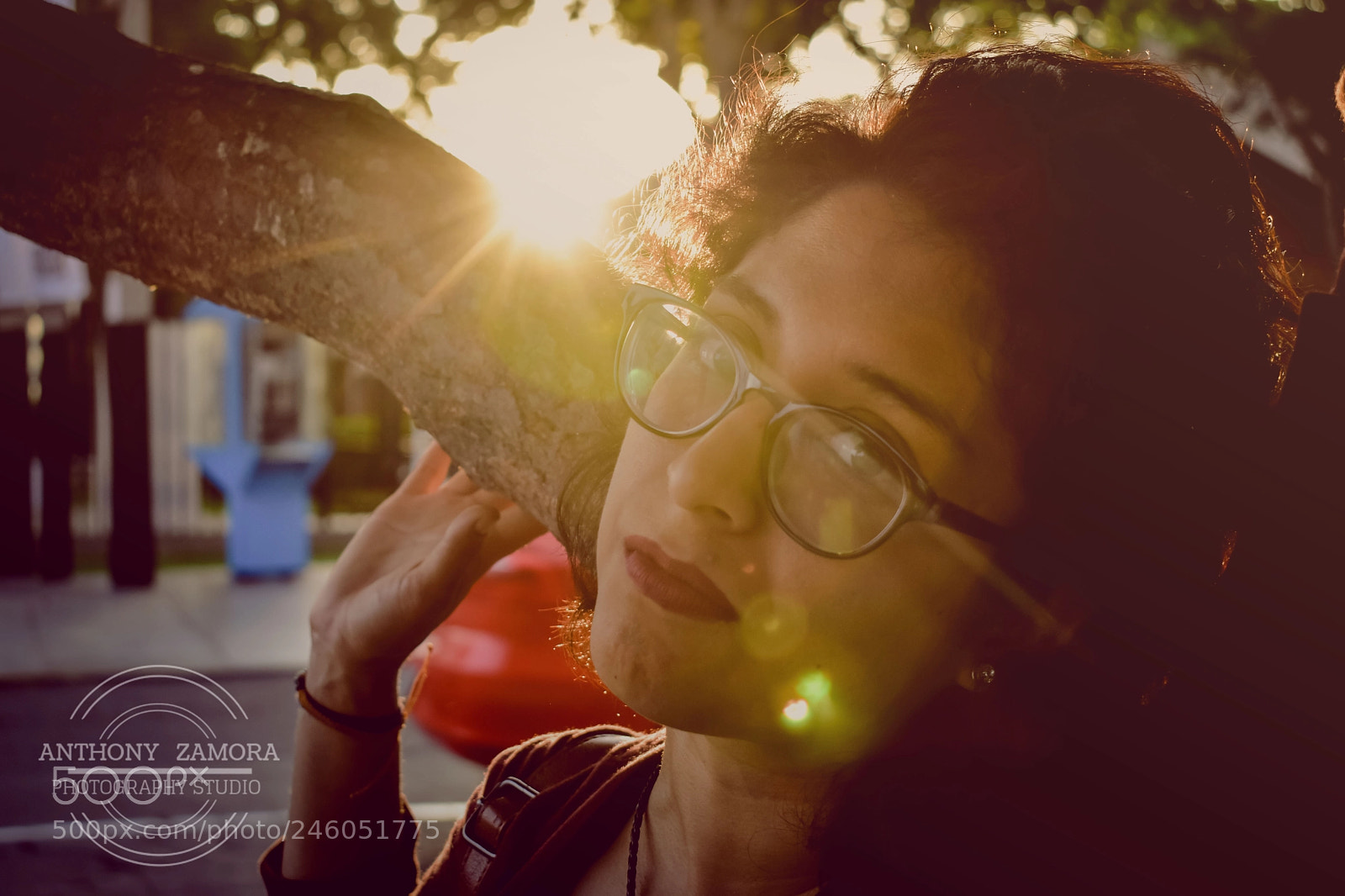 Nikon D5600 sample photo. Sunshine photography
