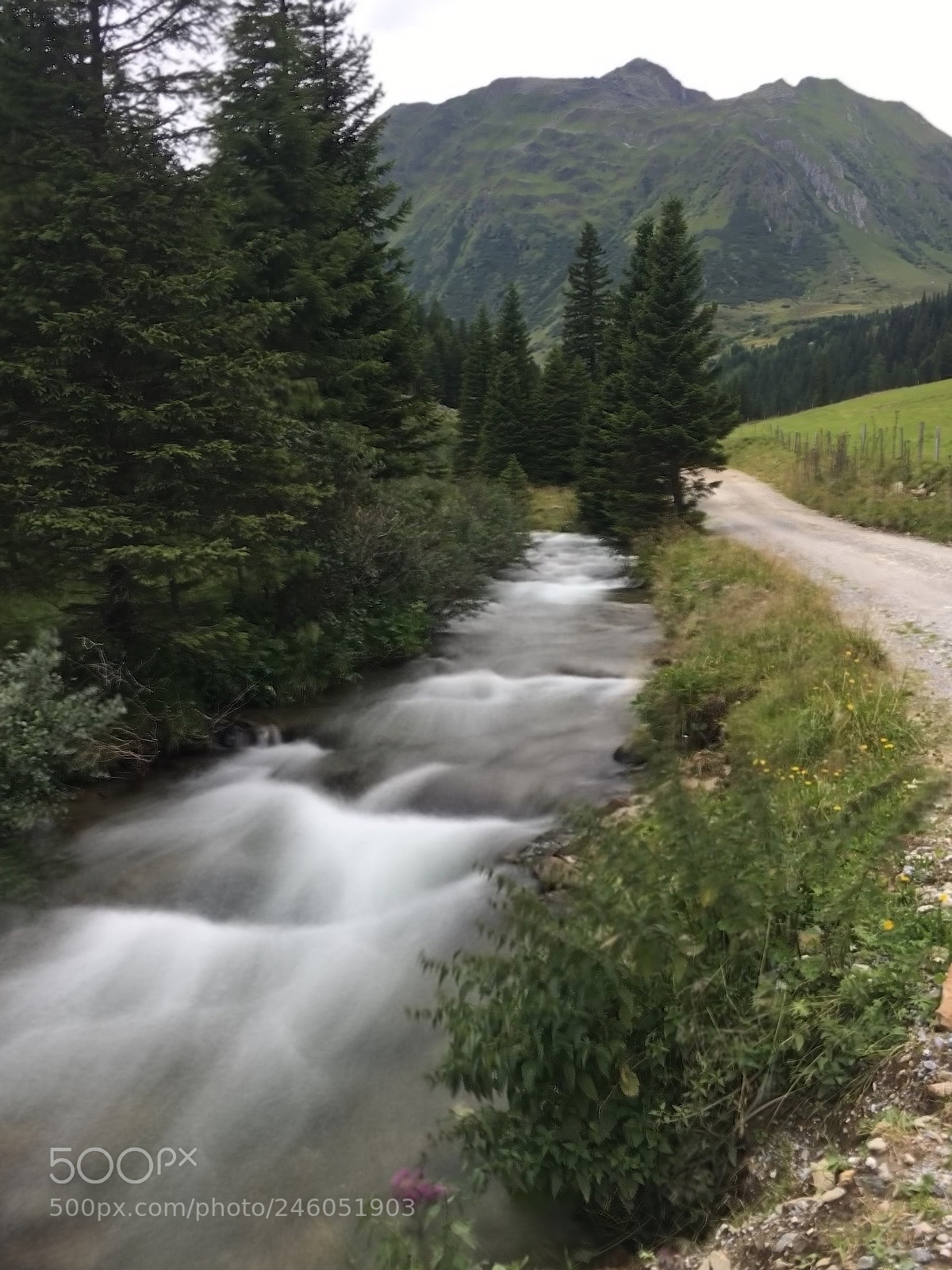 Apple iPhone 6s sample photo. |st. peter; steiermark; austria| photography