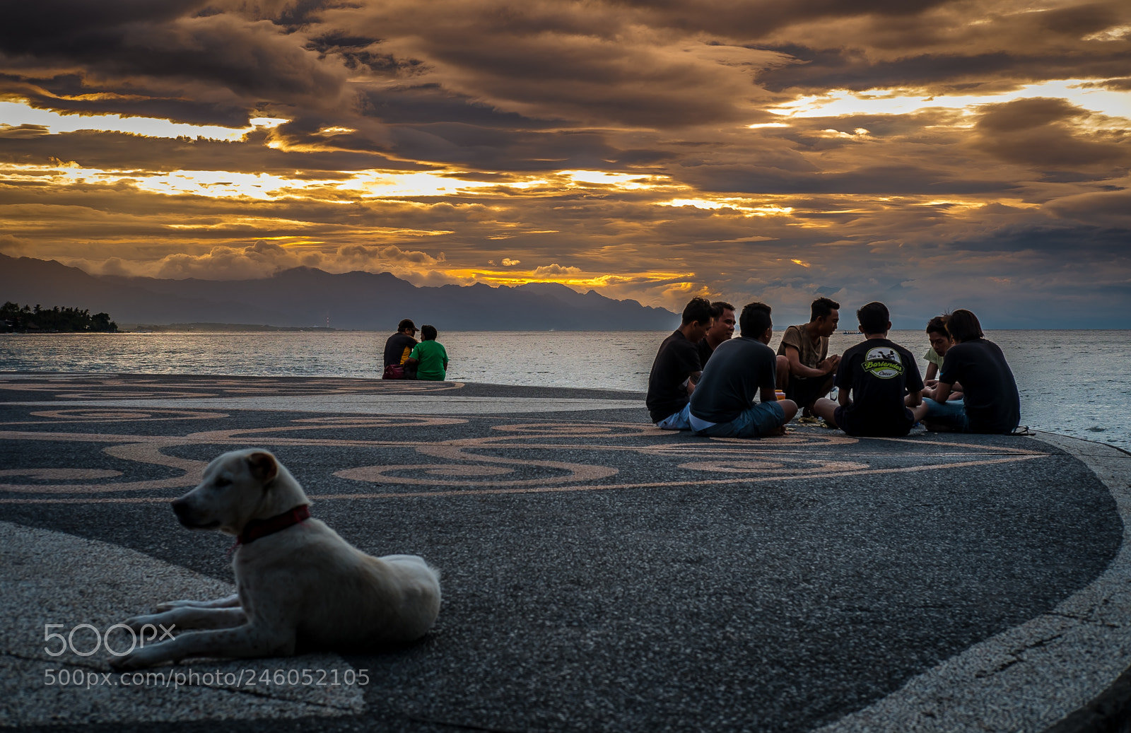 Fujifilm X-E1 sample photo. No sunset for old photography
