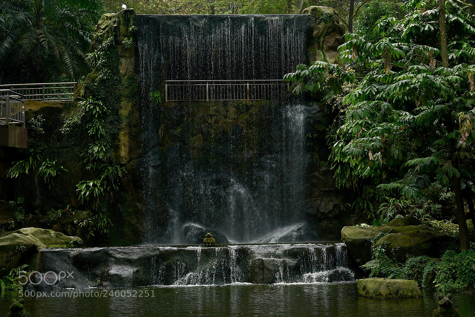 Sony a7R II sample photo. Jurassic park...no...it's kl bird photography
