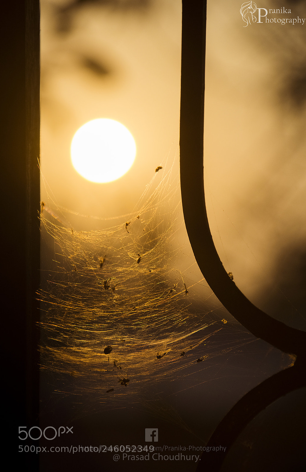 Nikon D7200 sample photo. Sunshine..... photography