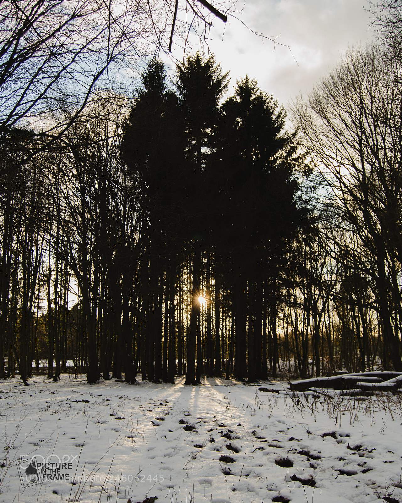 Nikon D3200 sample photo. D tail dans la photography