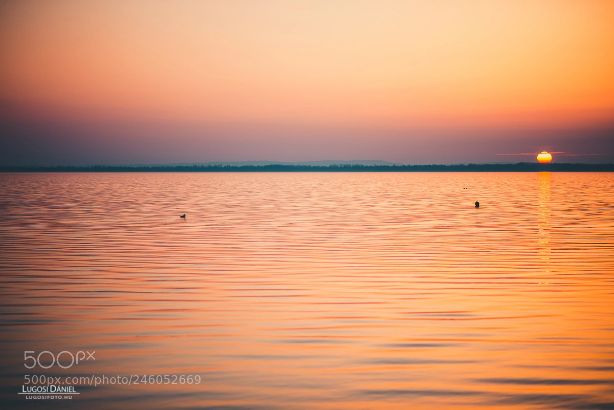 Nikon D610 sample photo. Hungary sunset photography