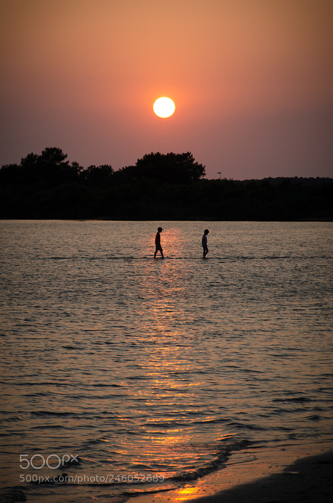 Nikon D5100 sample photo. Walking on the sun photography