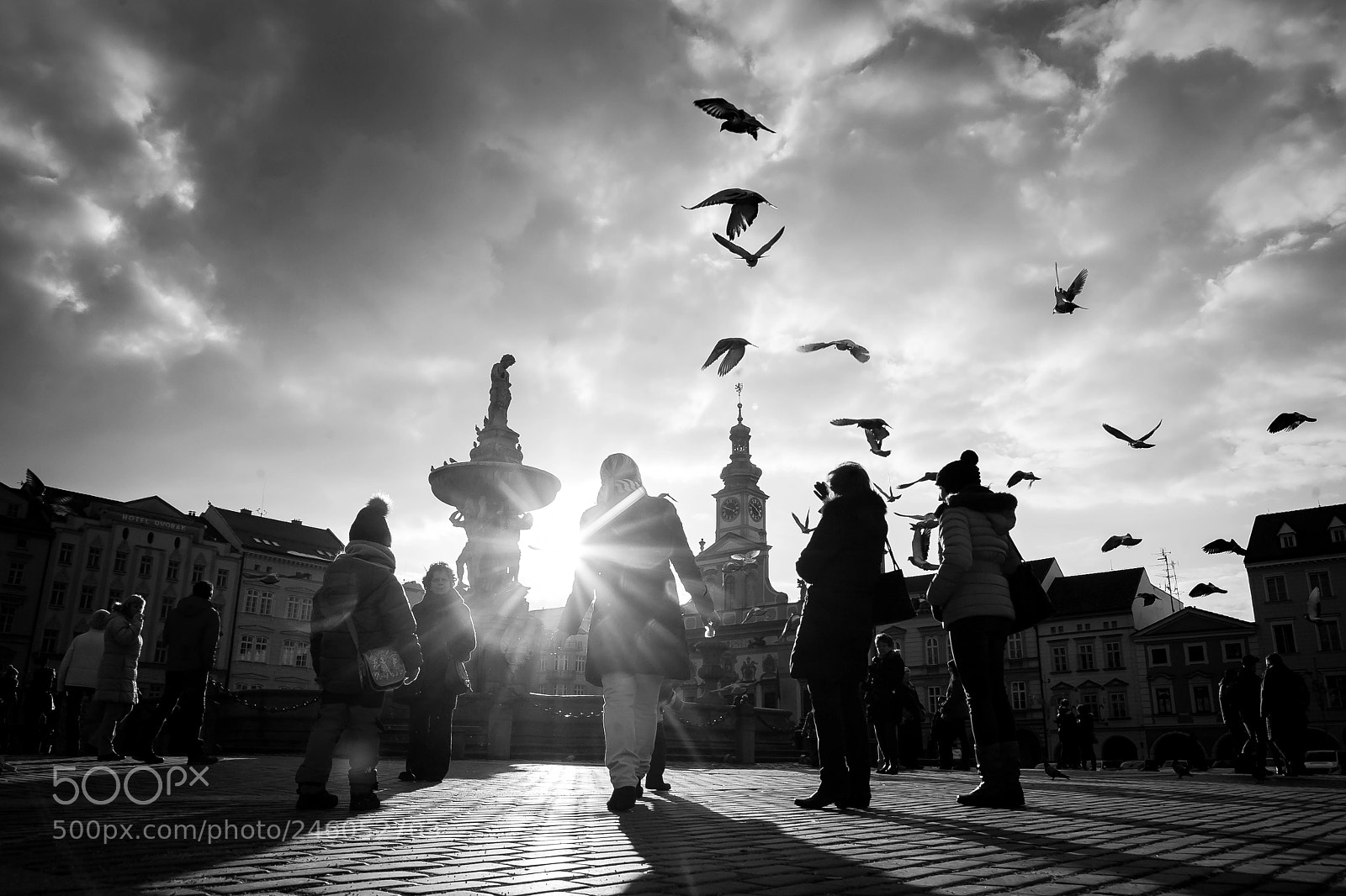 Canon EOS 5D sample photo. Pigeons photography