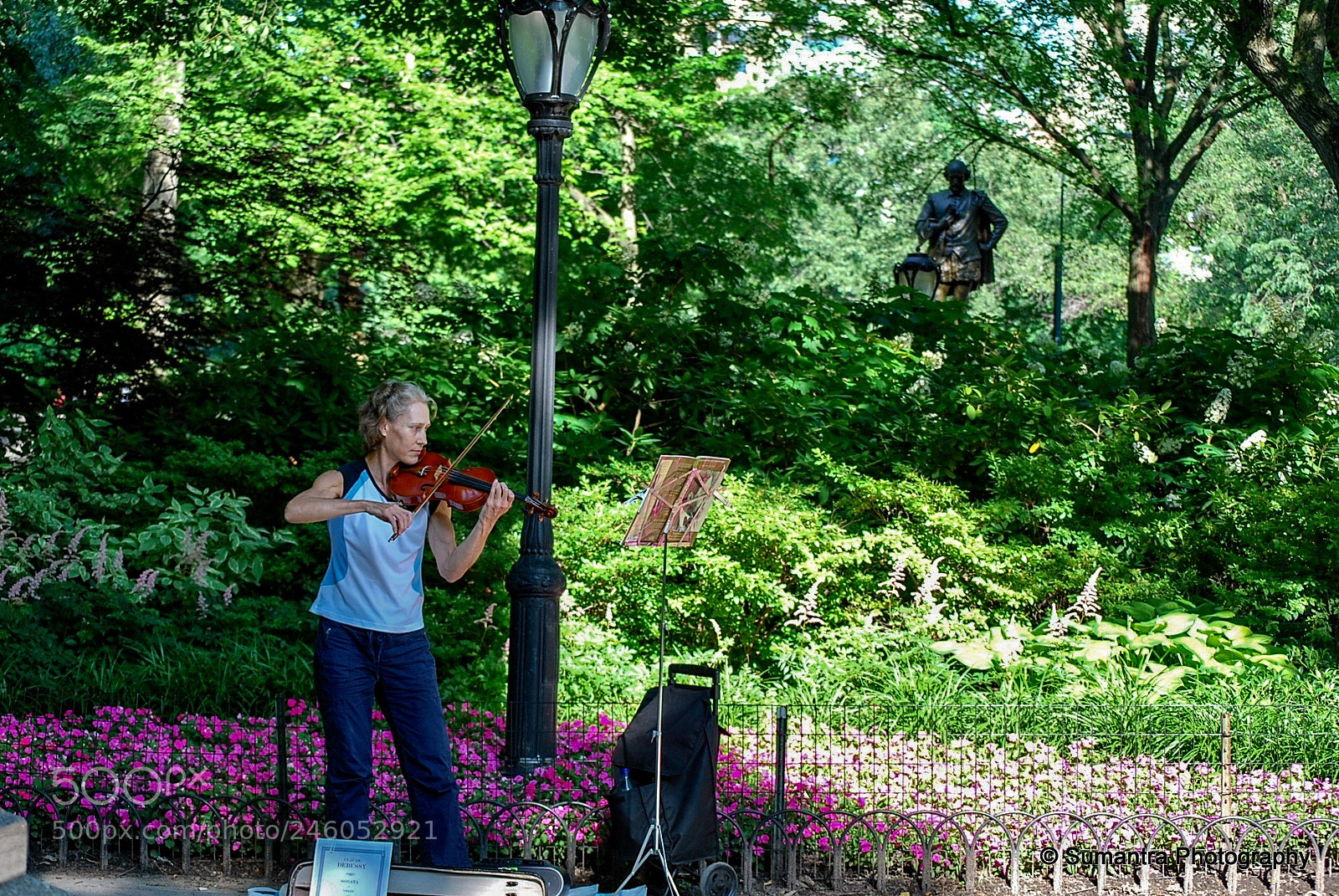 Nikon D60 sample photo. Violinist in the park photography