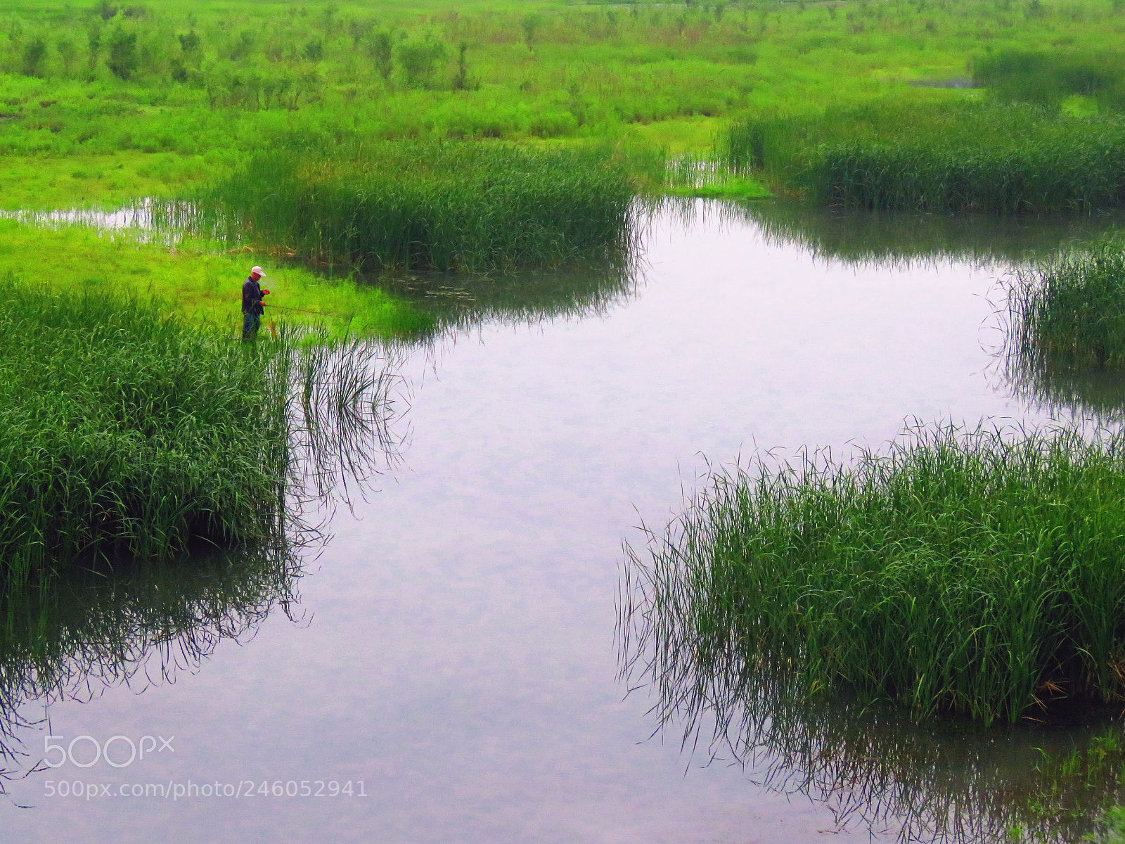 Canon PowerShot SX60 HS sample photo. Fishing photography