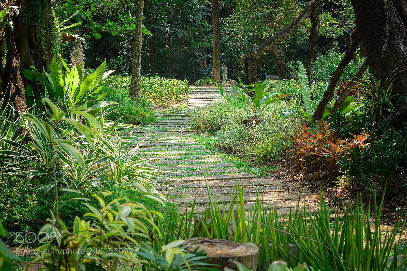 Canon EOS 600D (Rebel EOS T3i / EOS Kiss X5) sample photo. A resting place in photography
