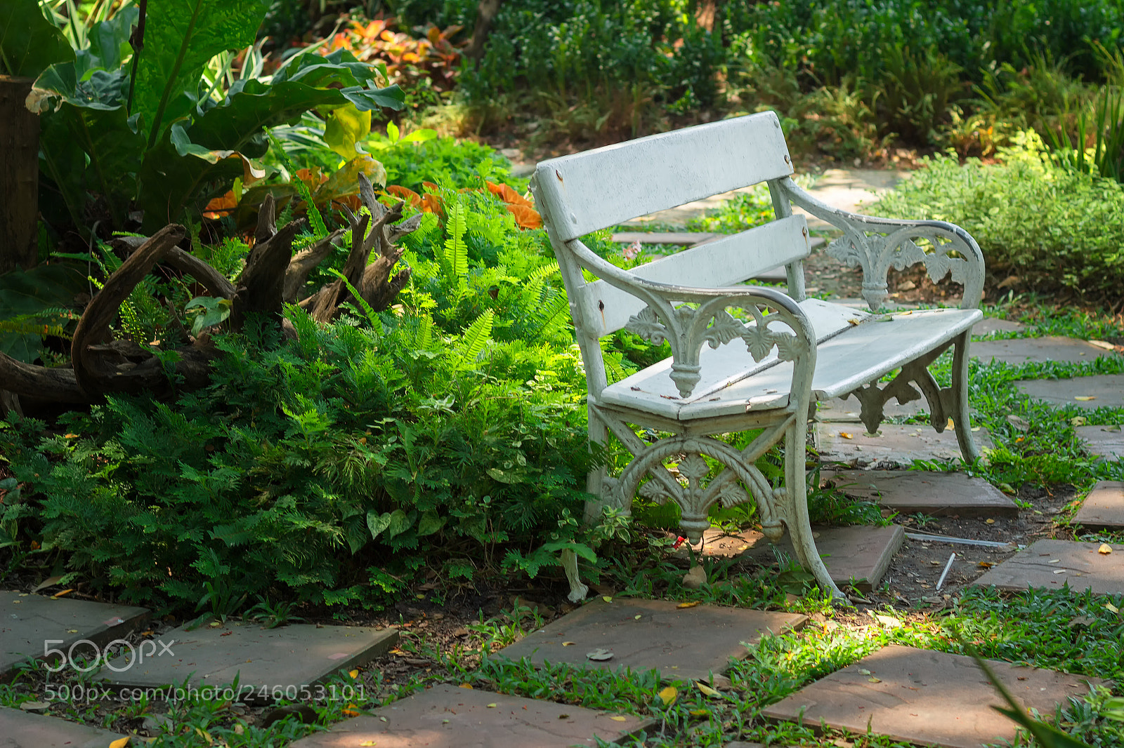 Canon EOS 600D (Rebel EOS T3i / EOS Kiss X5) sample photo. A resting place in photography
