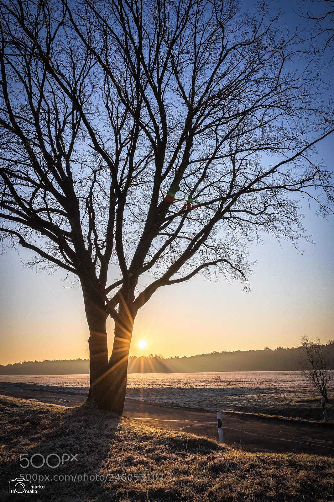 Canon EOS 750D (EOS Rebel T6i / EOS Kiss X8i) sample photo. Sun comes up photography