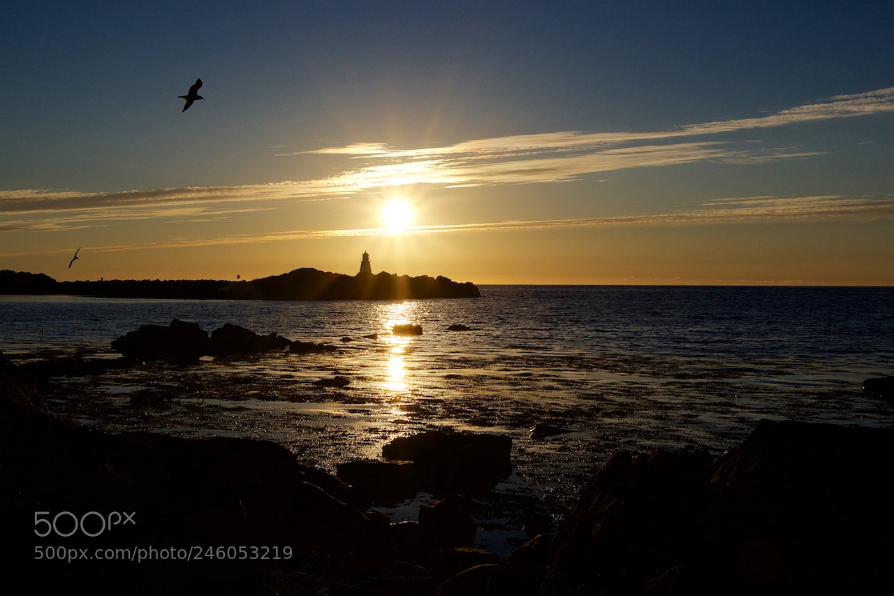Pentax K-3 sample photo. Midnight sun at gims photography