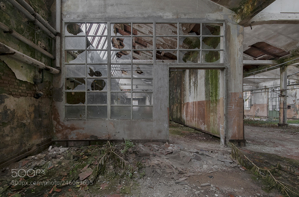 Nikon D300 sample photo. Rivoluzione industriale photography