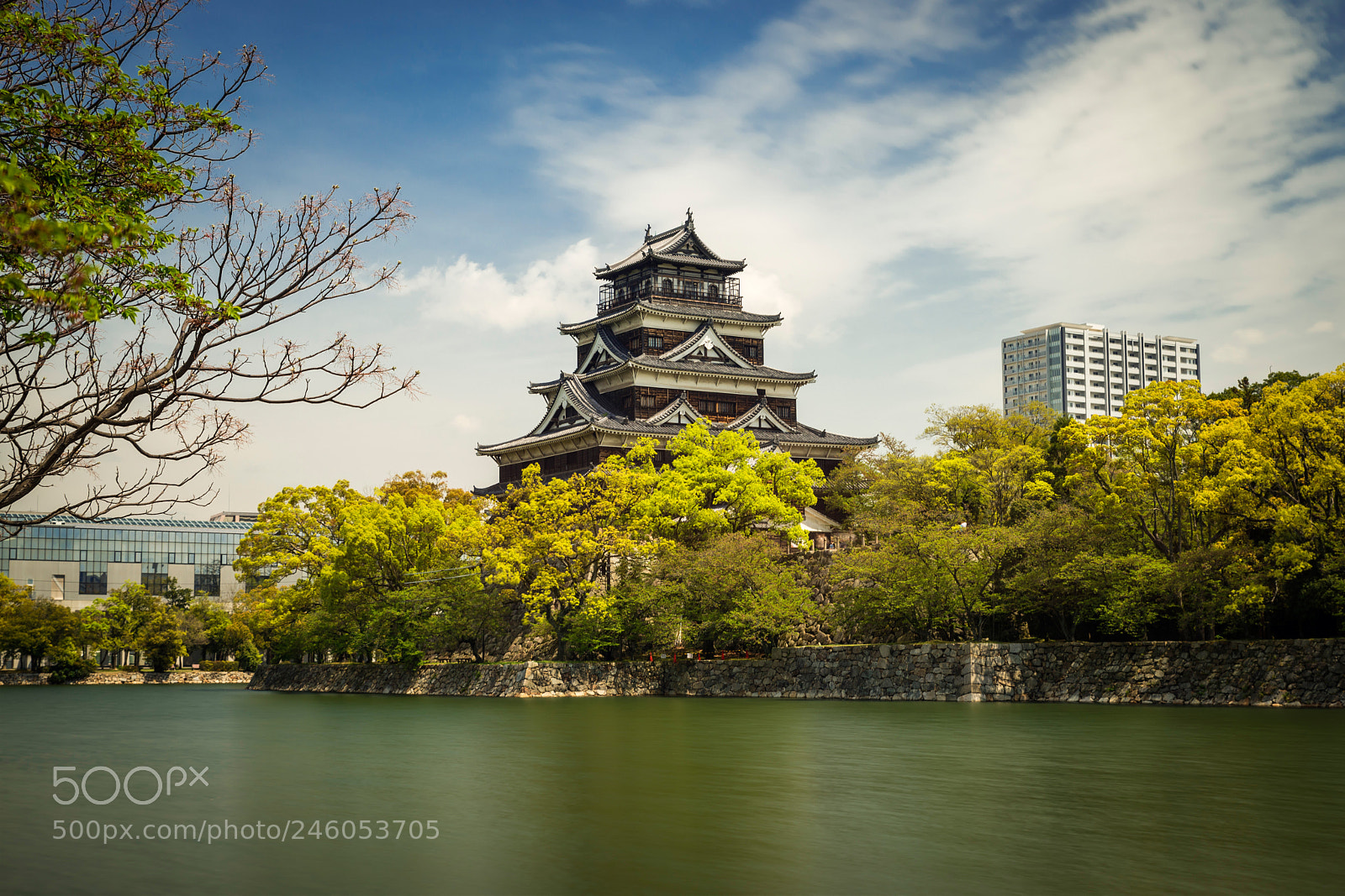 Nikon D610 sample photo. Hiroshima castle photography