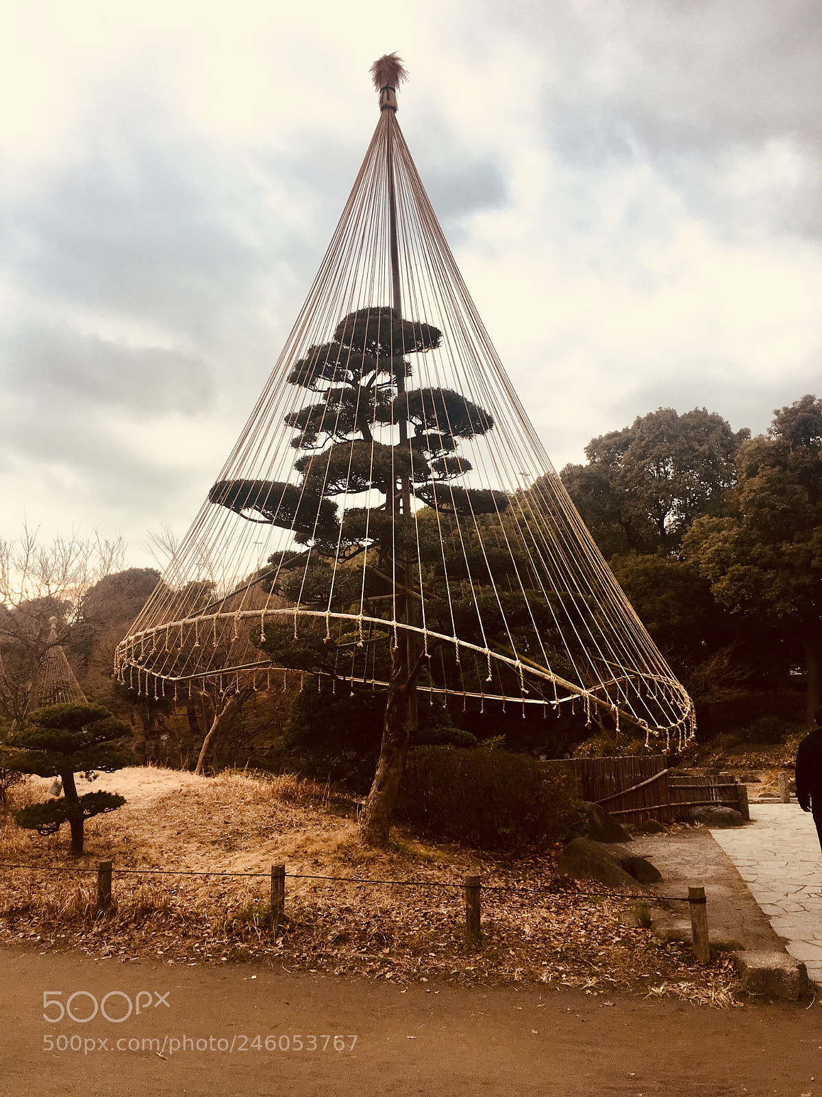Apple iPhone 6s sample photo. The hanging garden photography