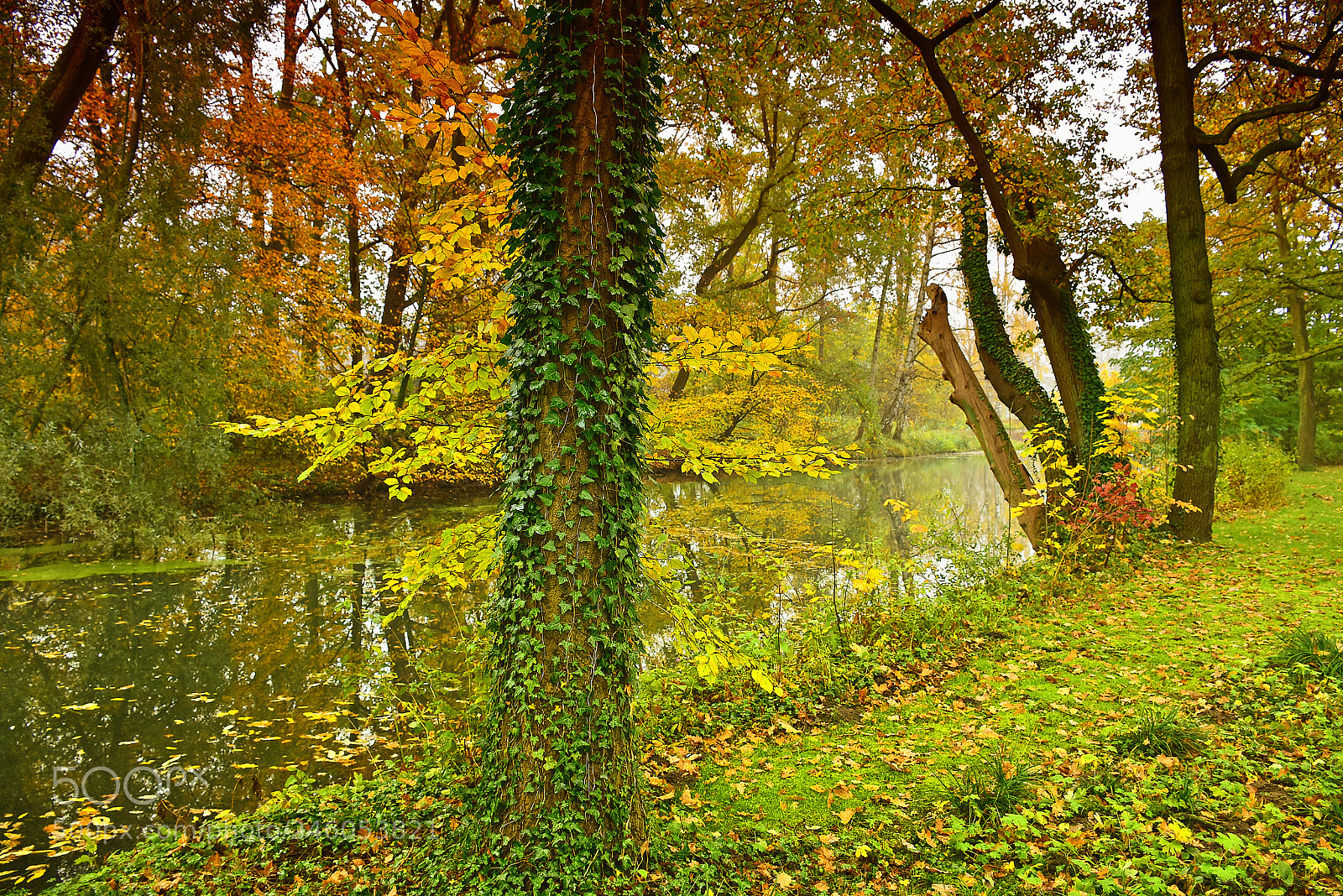 Nikon D7200 sample photo. Beauty autumn painting photography