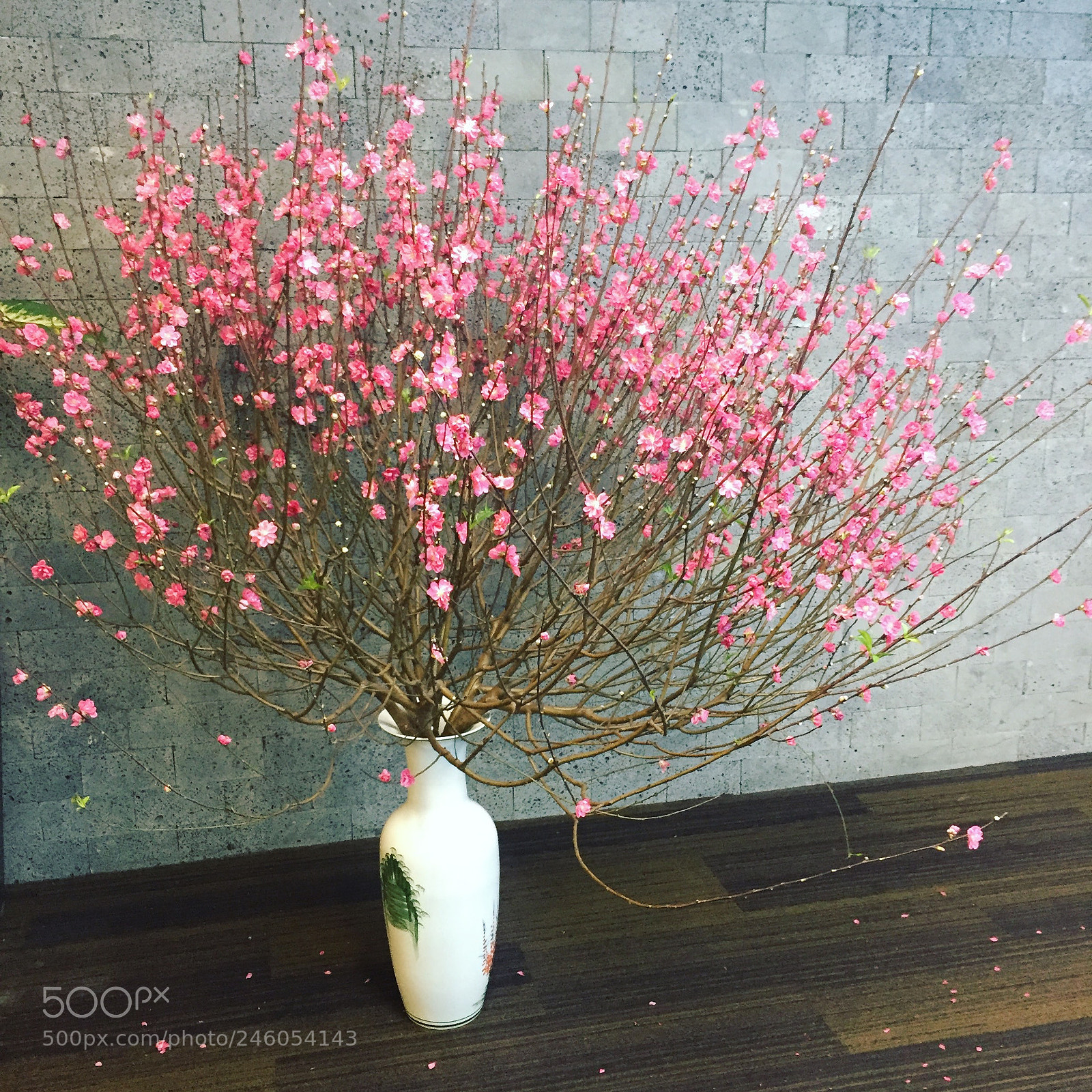 Apple iPhone 6 sample photo. Peach flower photography