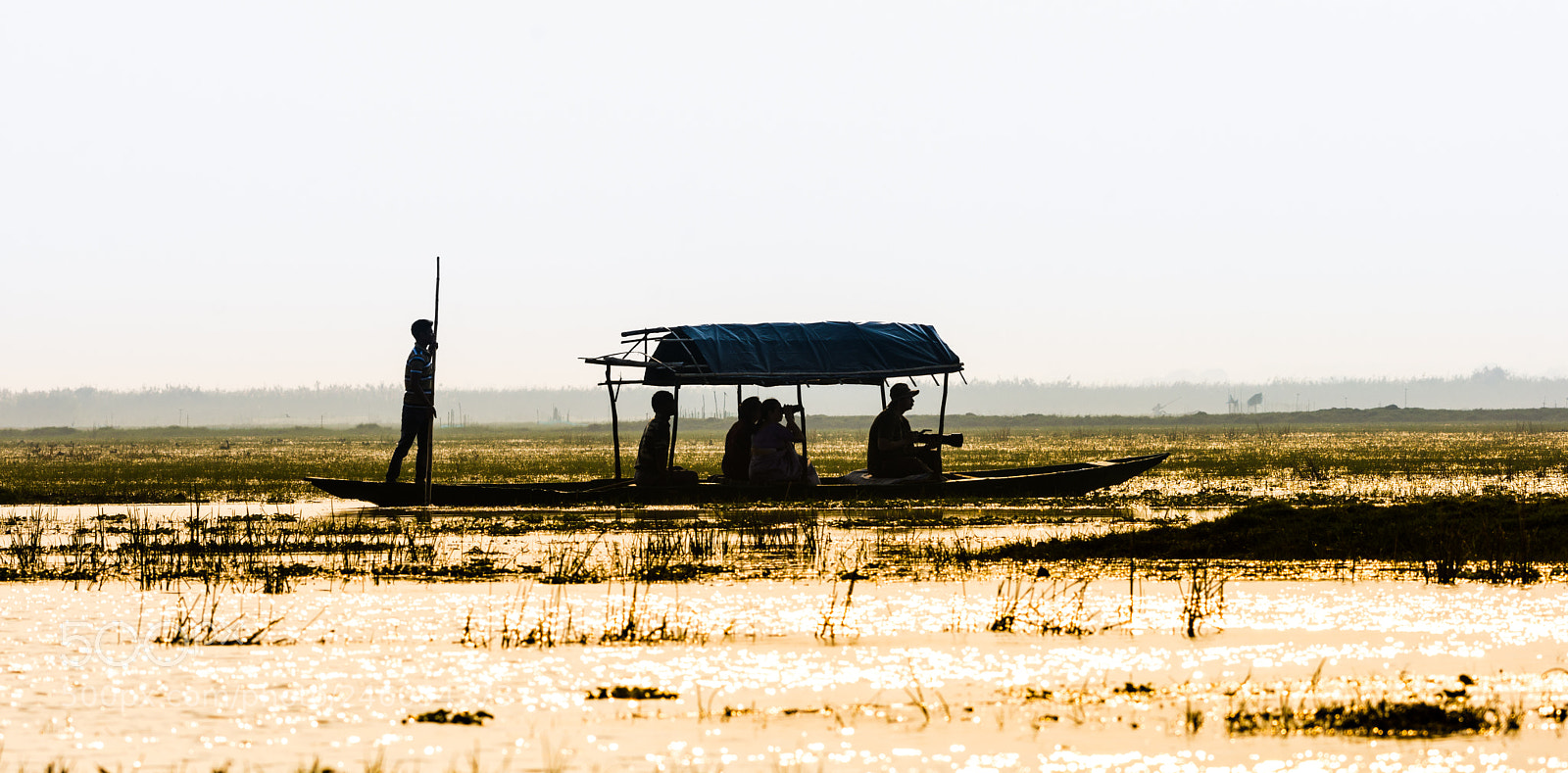 Nikon D7200 sample photo. Birding on a boat photography
