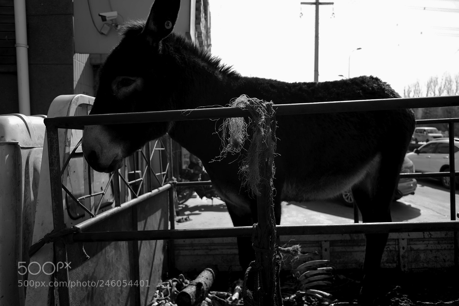Fujifilm X70 sample photo. Title photography