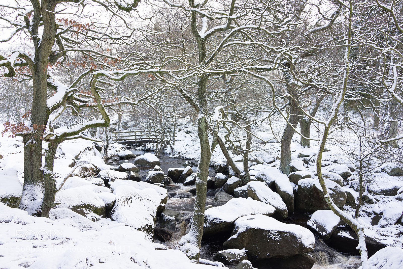 Sony Cyber-shot DSC-RX1 sample photo. Snow covered bridge at photography